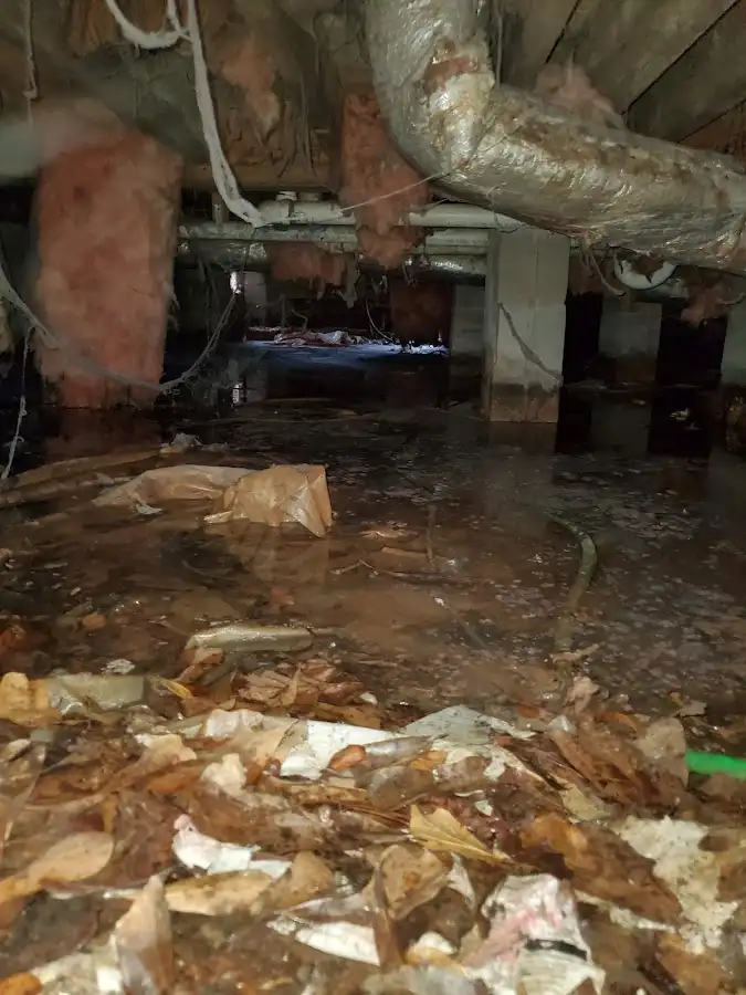 Crawl space flood assessment for Leak Detection & Repair in Easton