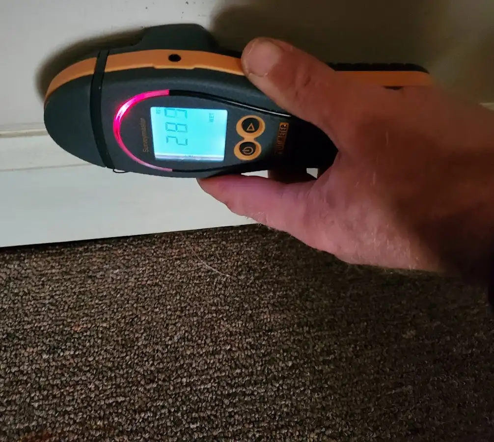 Moisture detection at baseboard during Sewage Cleanup & Sanitation in Easton